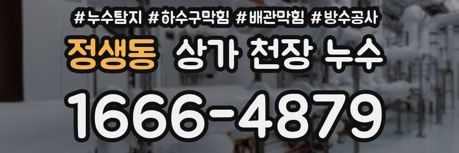 정생동 상가 천장 누수