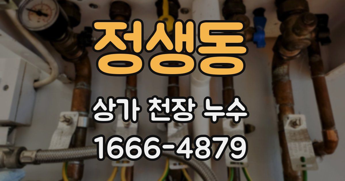 정생동 상가 천장 누수