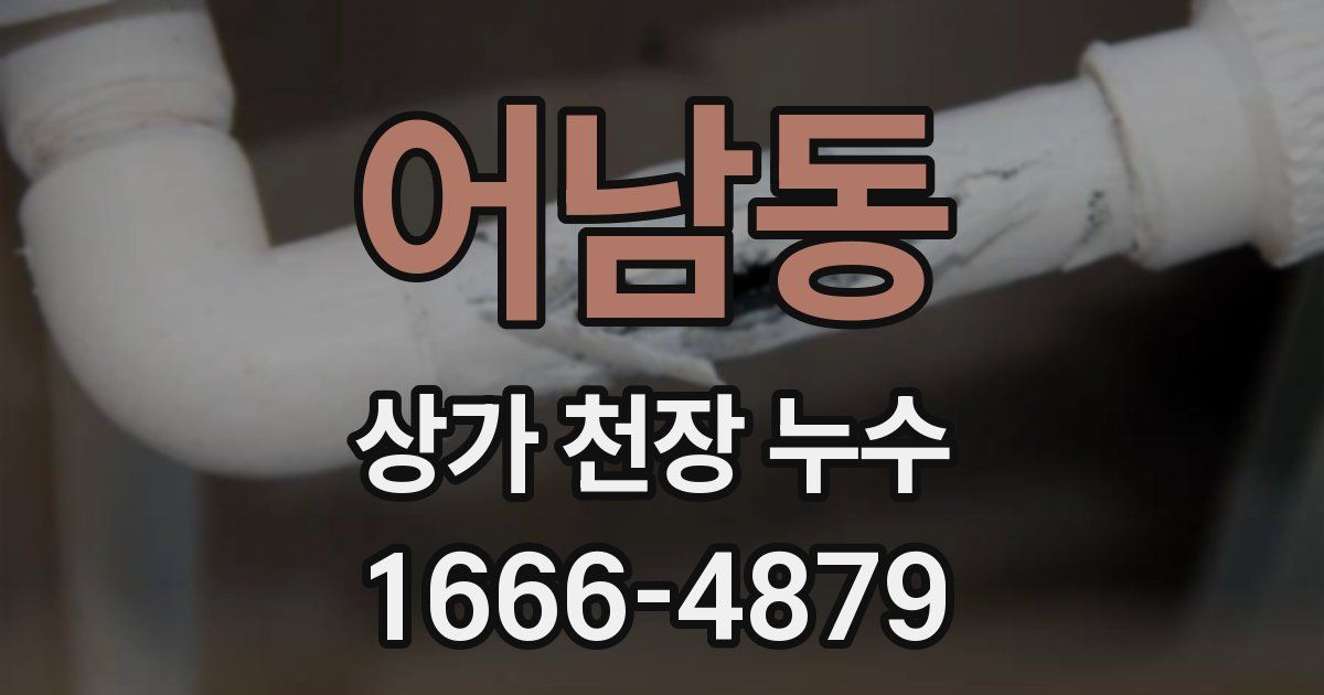 어남동 상가 천장 누수