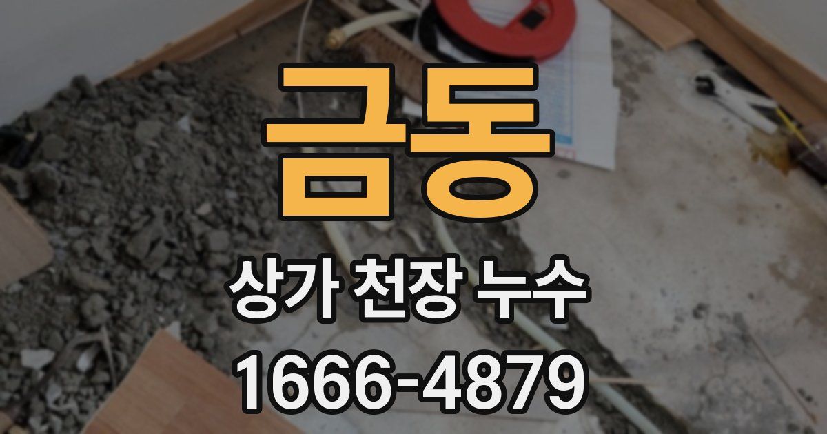 금동 상가 천장 누수