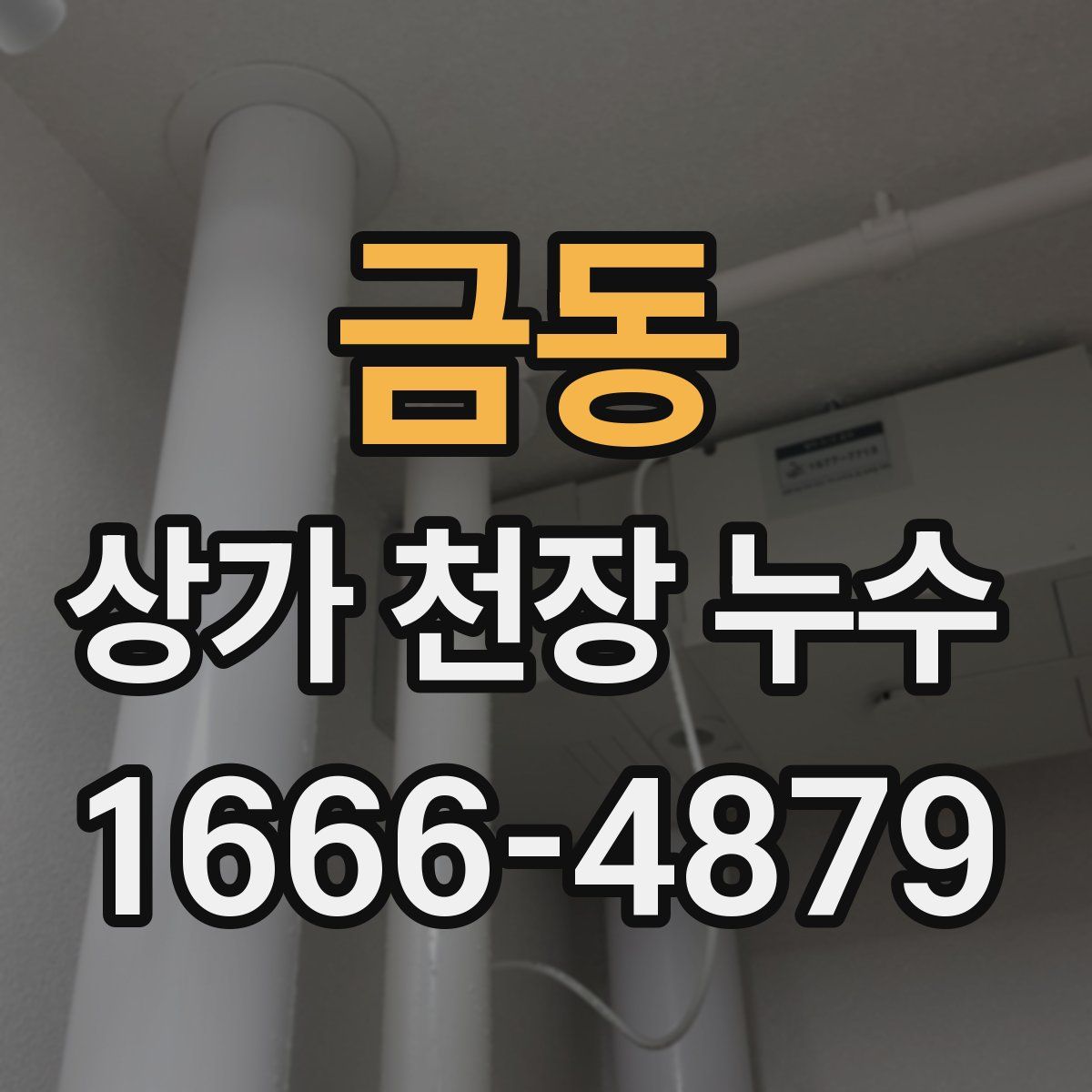 금동 상가 천장 누수