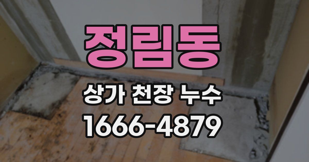 정림동 상가 천장 누수