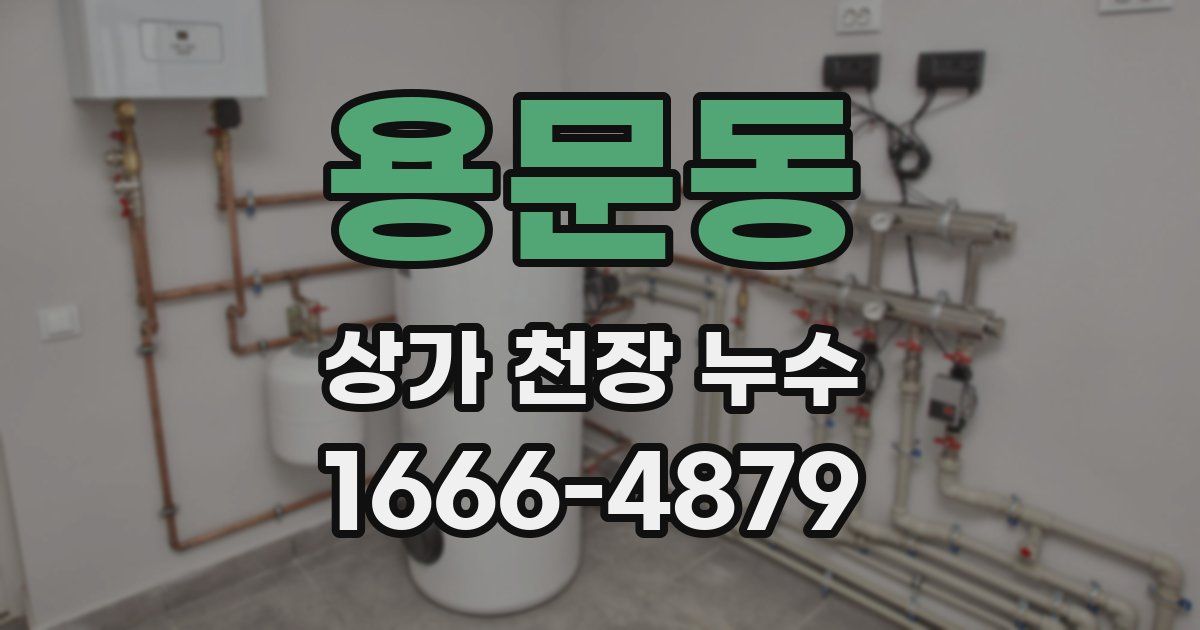 용문동 상가 천장 누수