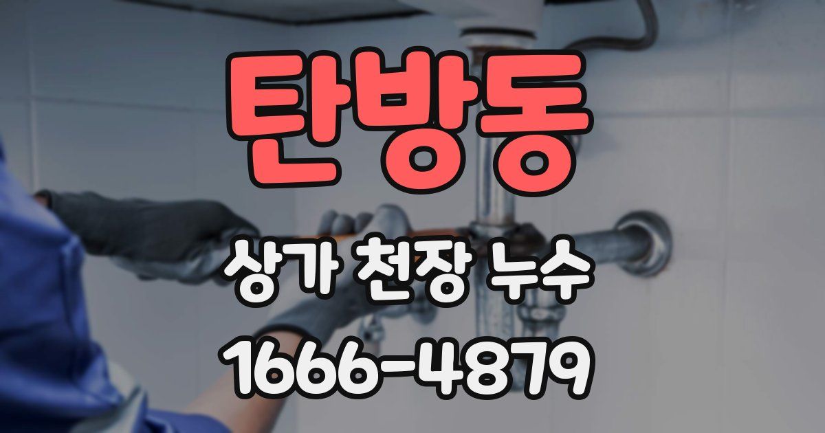 탄방동 상가 천장 누수