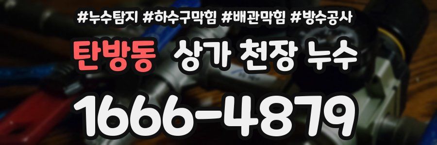 탄방동 상가 천장 누수