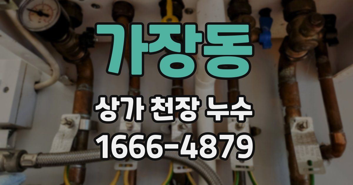 가장동 상가 천장 누수