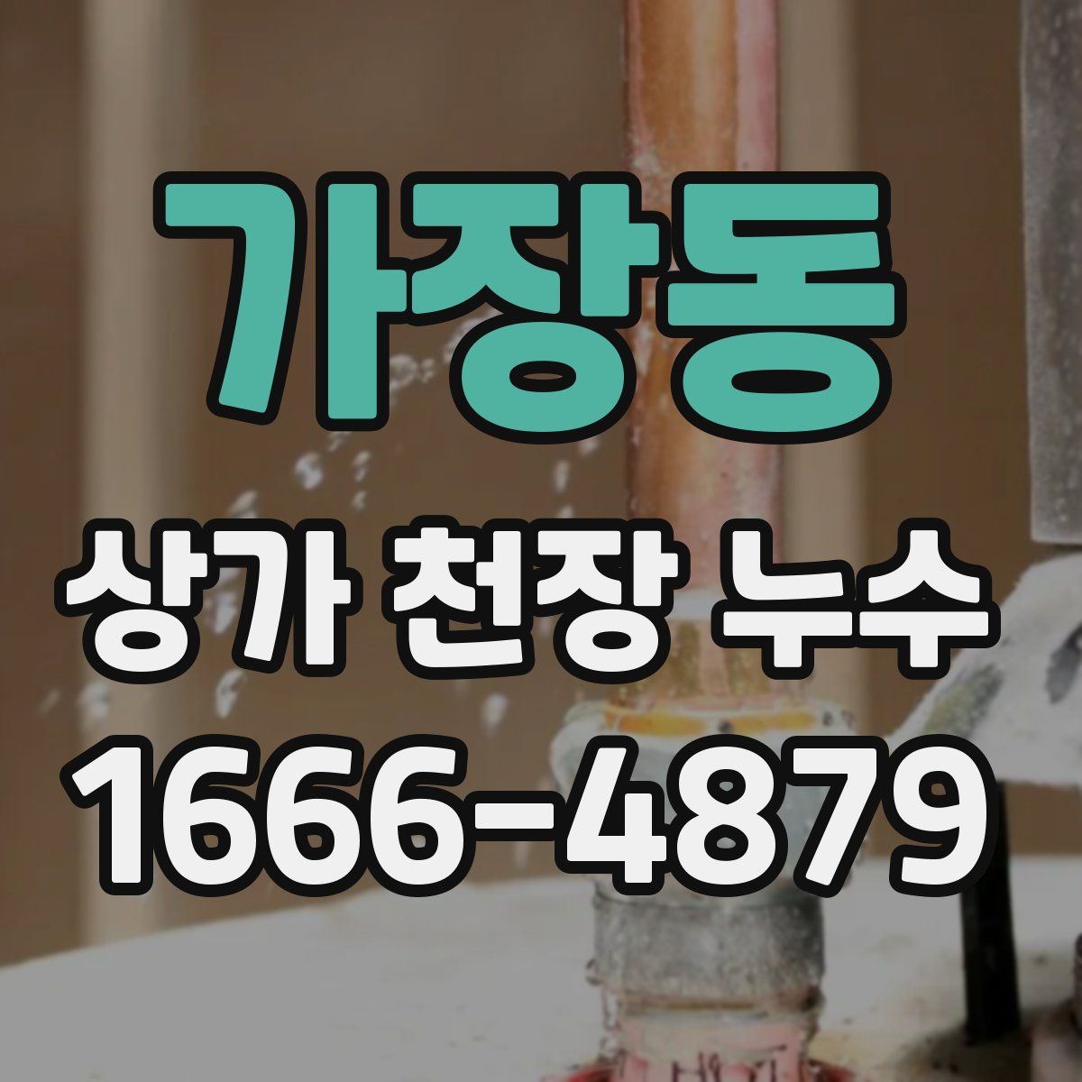 가장동 상가 천장 누수