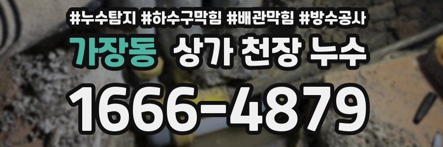 가장동 상가 천장 누수