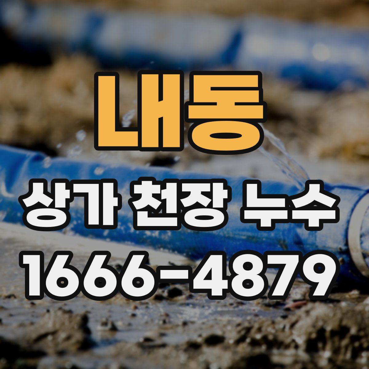 내동 상가 천장 누수