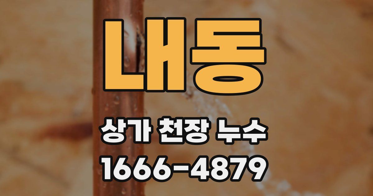 내동 상가 천장 누수
