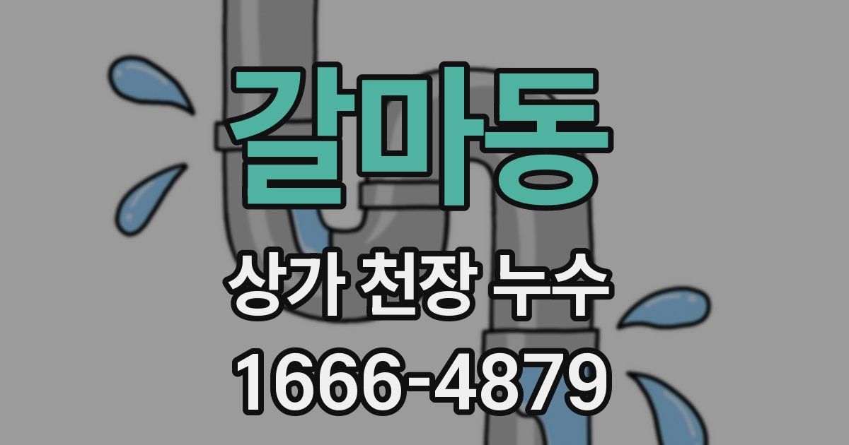 갈마동 상가 천장 누수