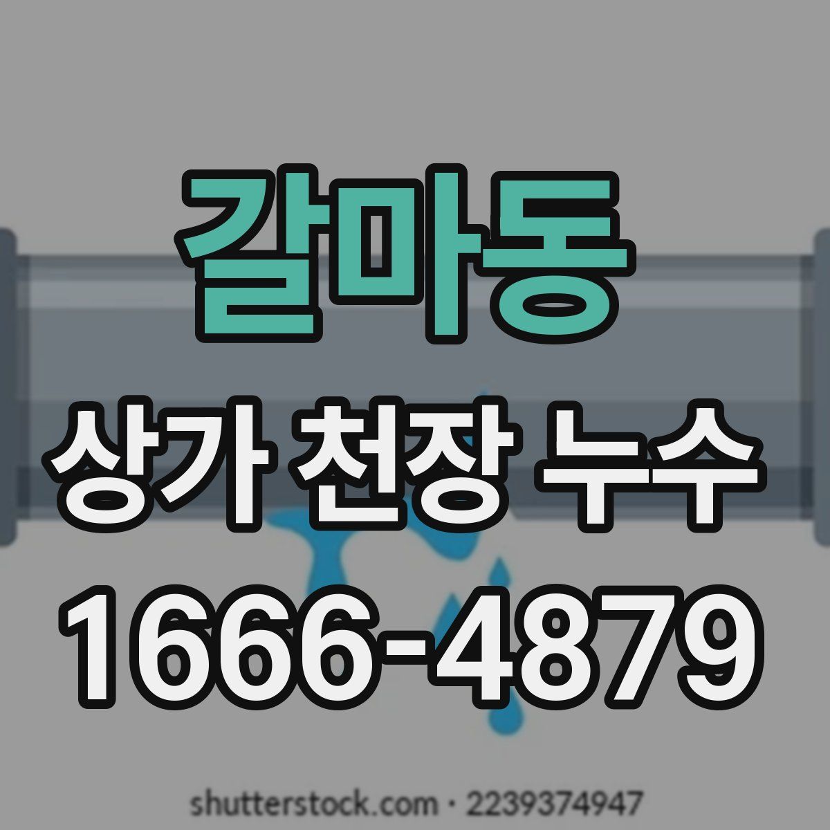 갈마동 상가 천장 누수