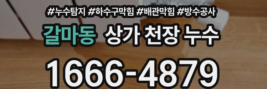갈마동 상가 천장 누수