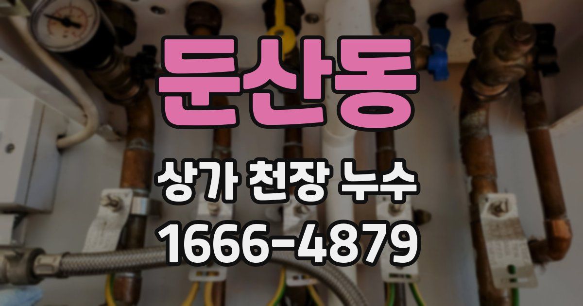 둔산동 상가 천장 누수