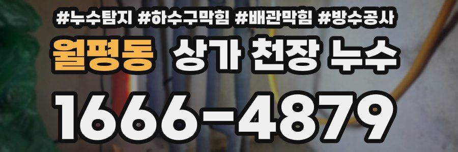 월평동 상가 천장 누수