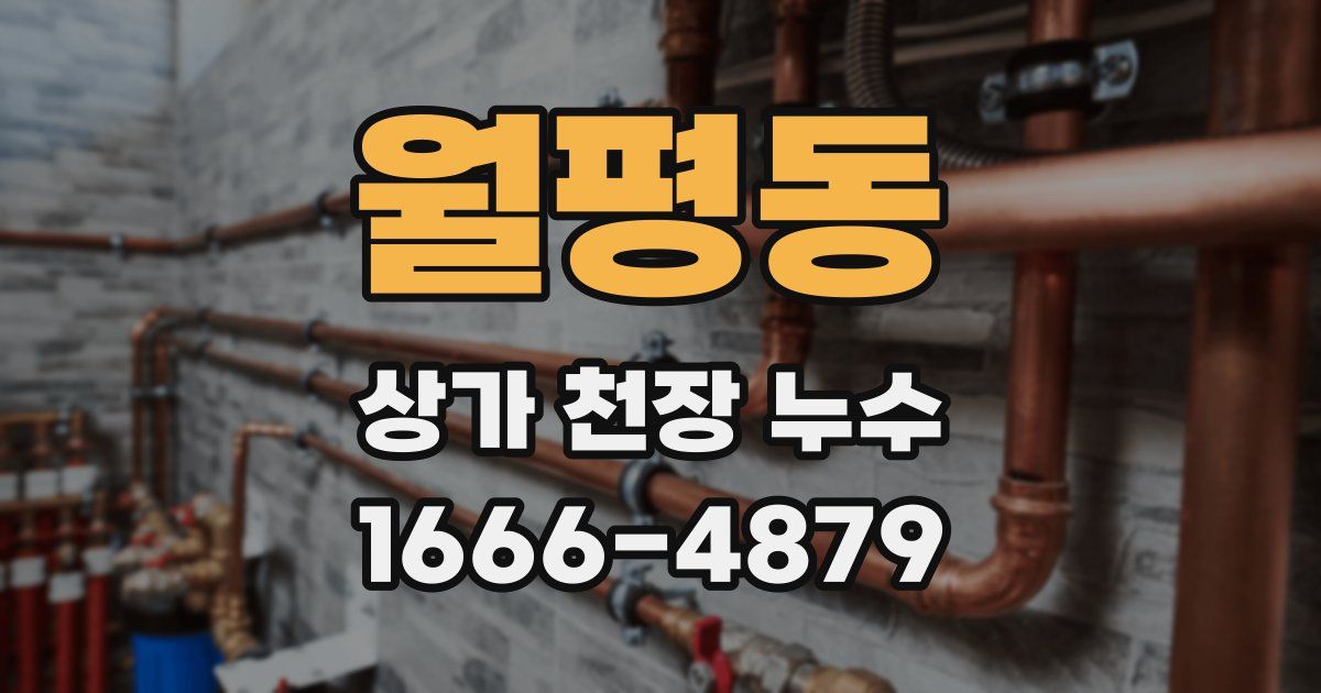 월평동 상가 천장 누수
