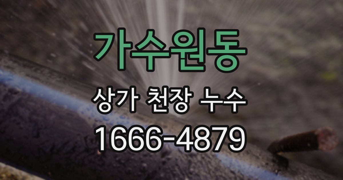 가수원동 상가 천장 누수