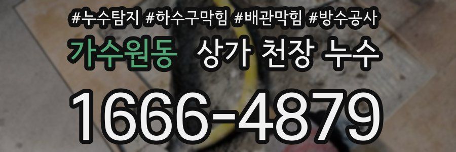 가수원동 상가 천장 누수