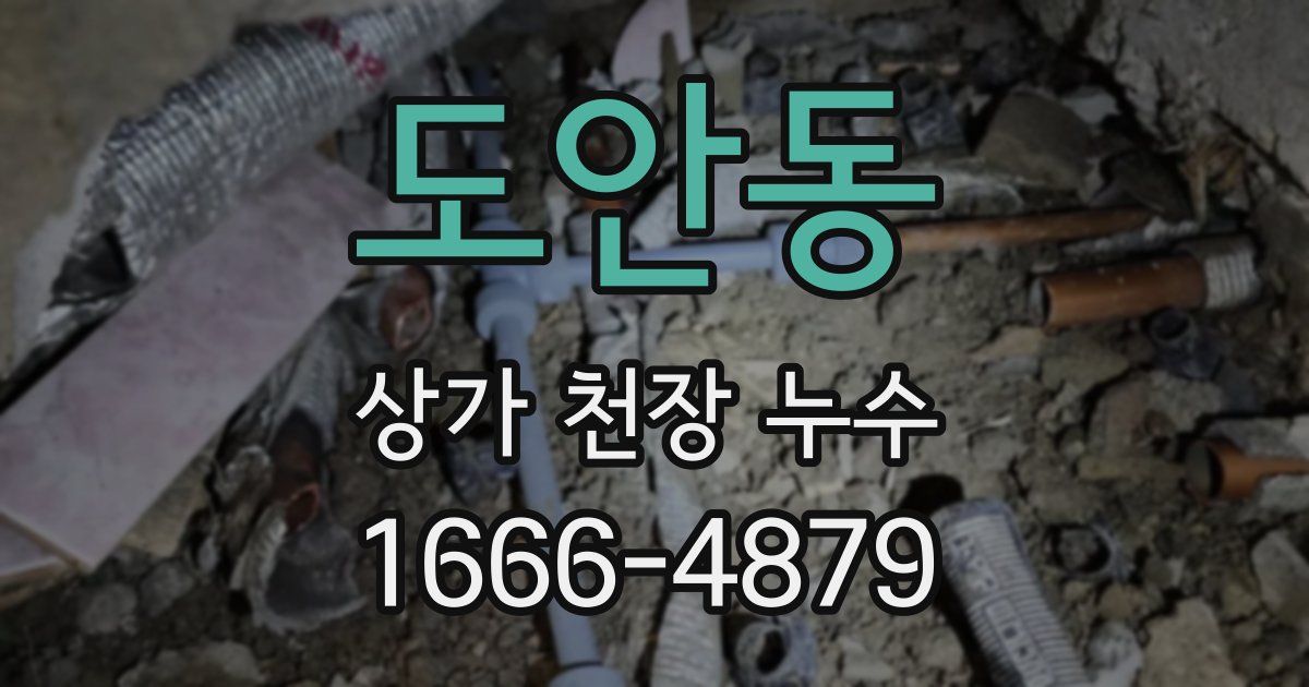 도안동 상가 천장 누수