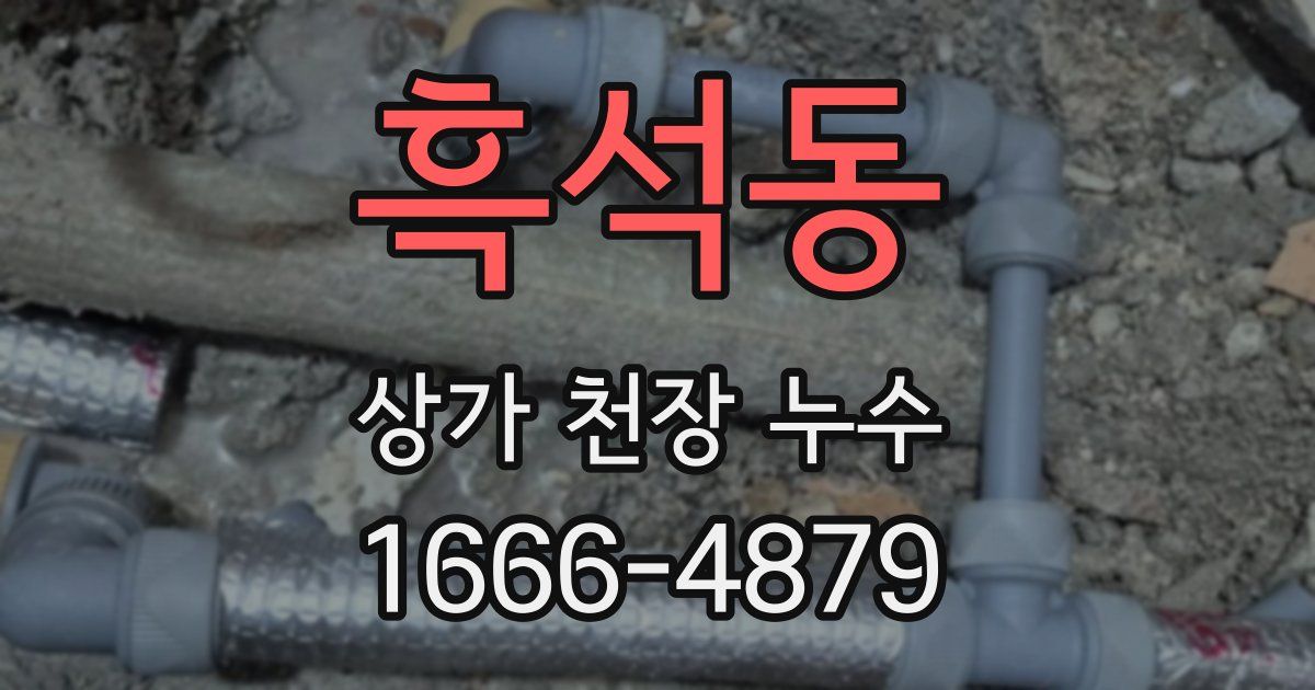 흑석동 상가 천장 누수