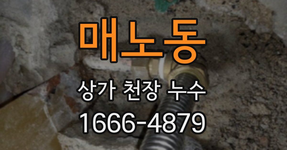 매노동 상가 천장 누수