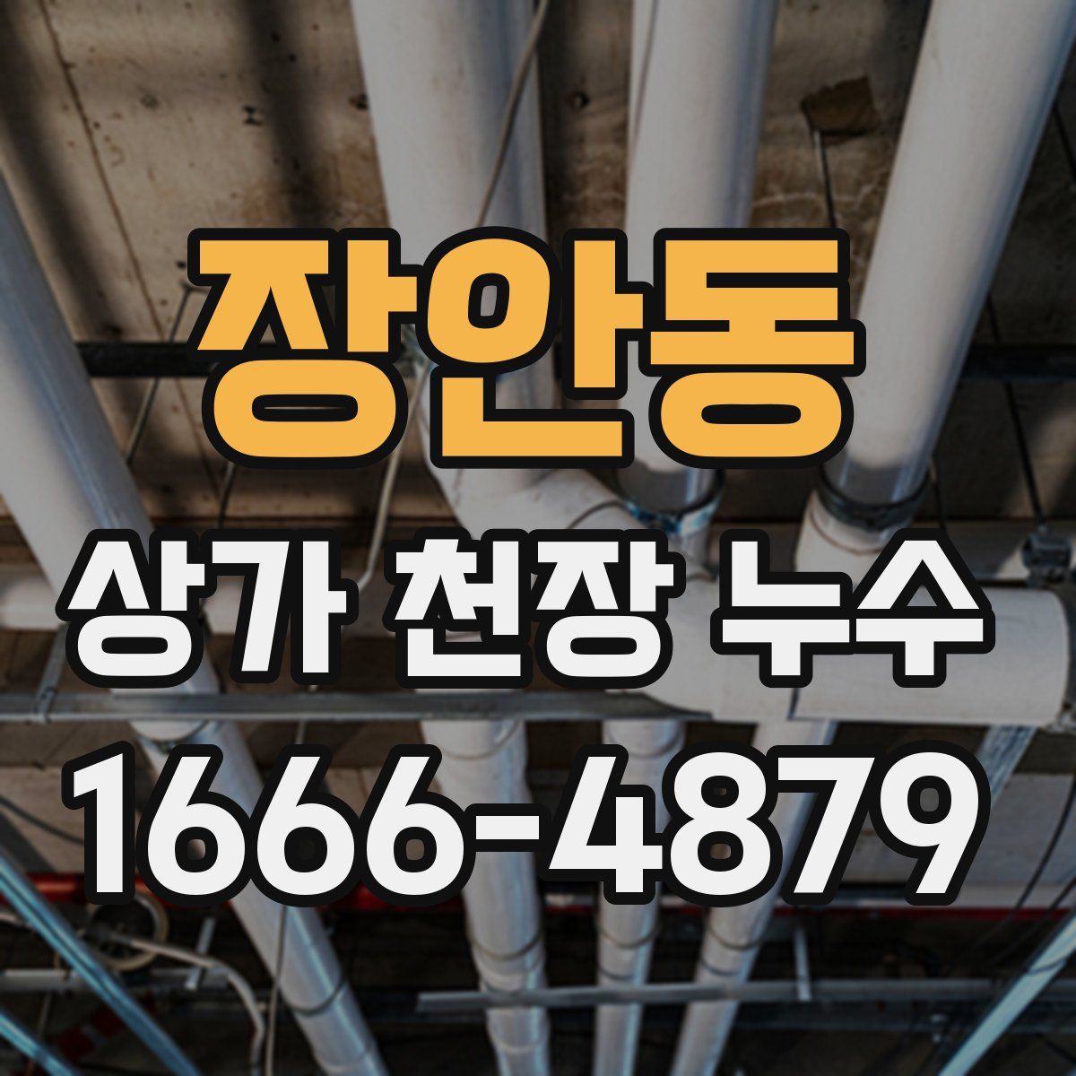 장안동 상가 천장 누수