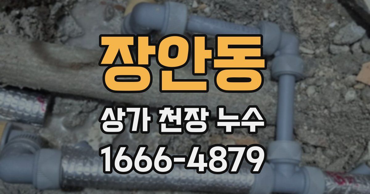 장안동 상가 천장 누수
