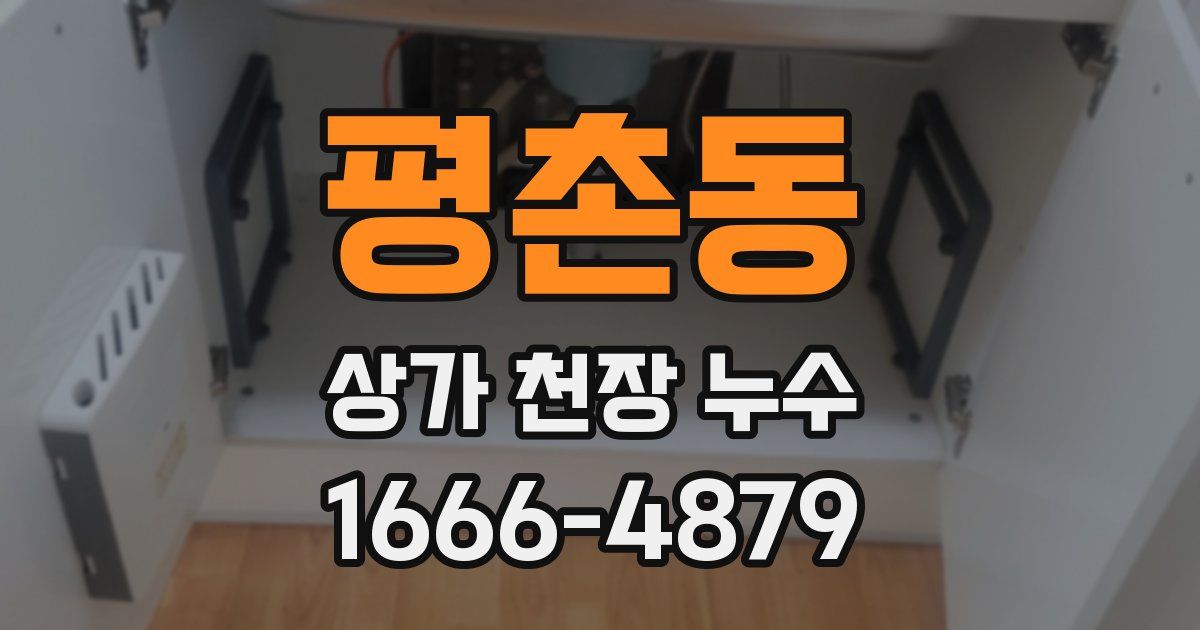 평촌동 상가 천장 누수