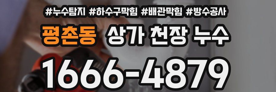 평촌동 상가 천장 누수