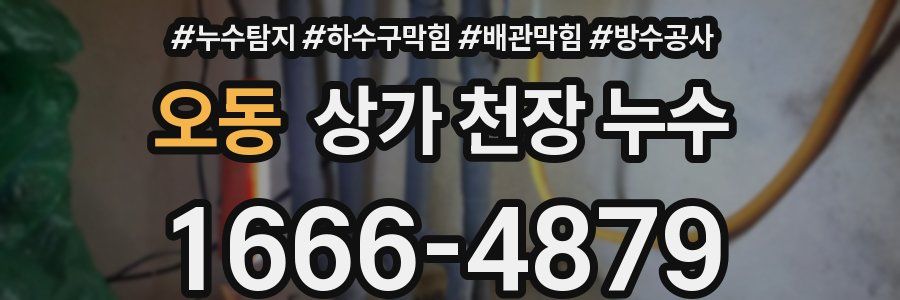 오동 상가 천장 누수