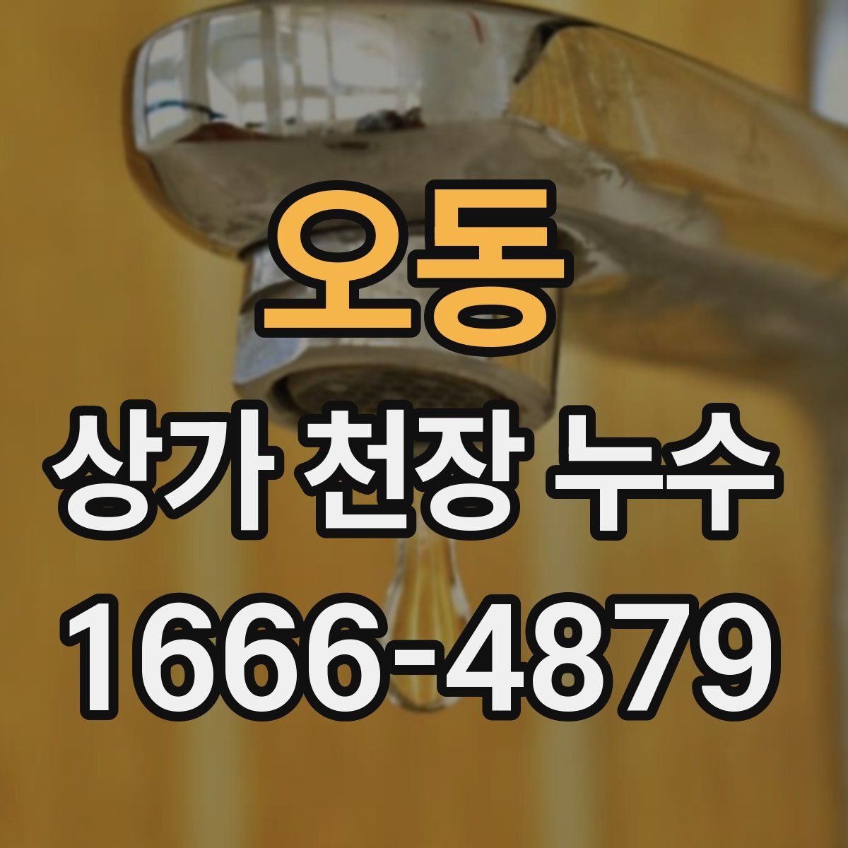 오동 상가 천장 누수