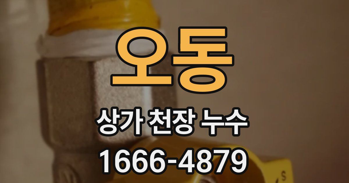 오동 상가 천장 누수