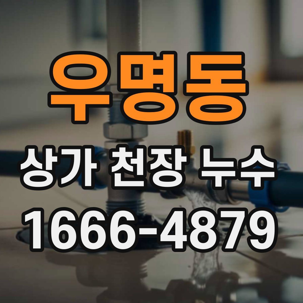 우명동 상가 천장 누수