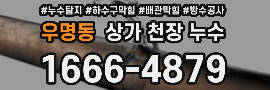 우명동 상가 천장 누수