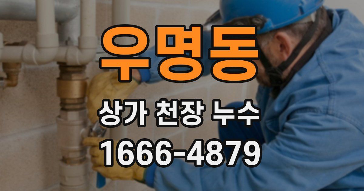 우명동 상가 천장 누수