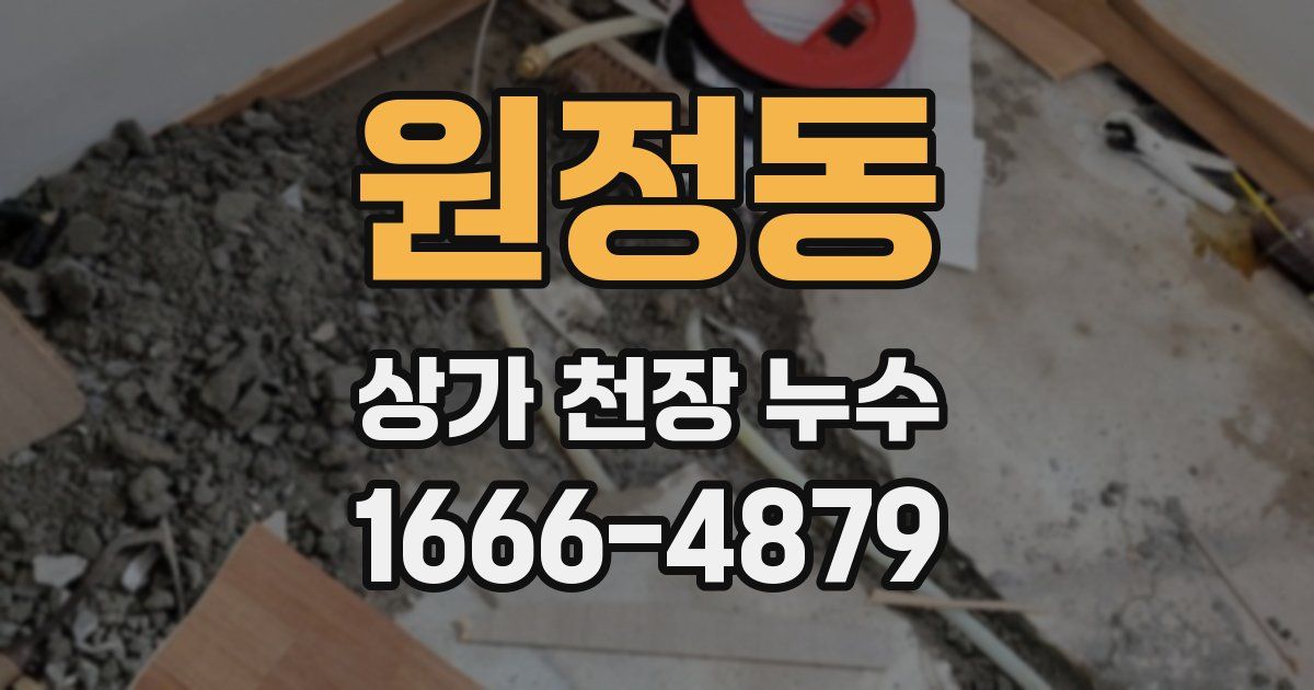 원정동 상가 천장 누수