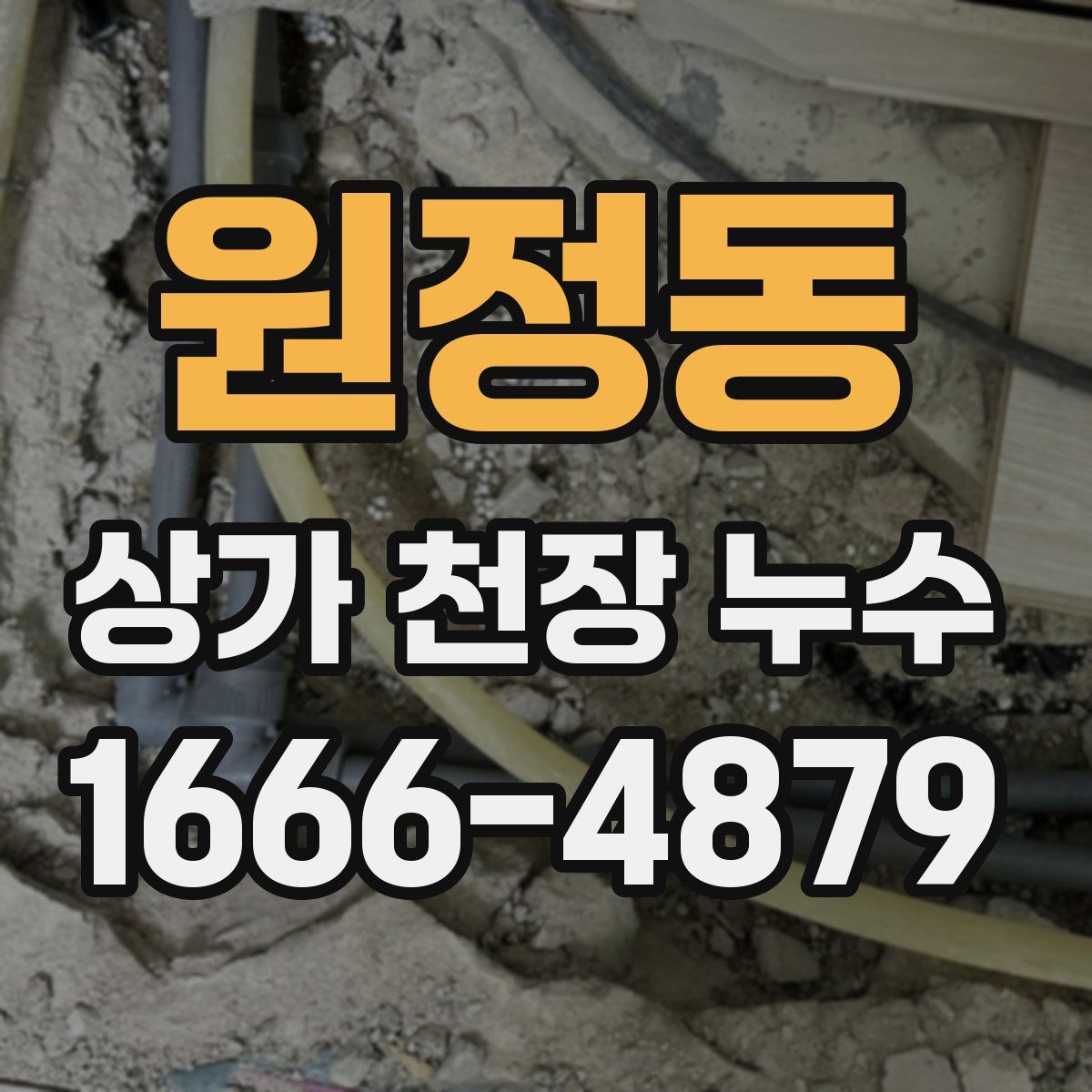 원정동 상가 천장 누수