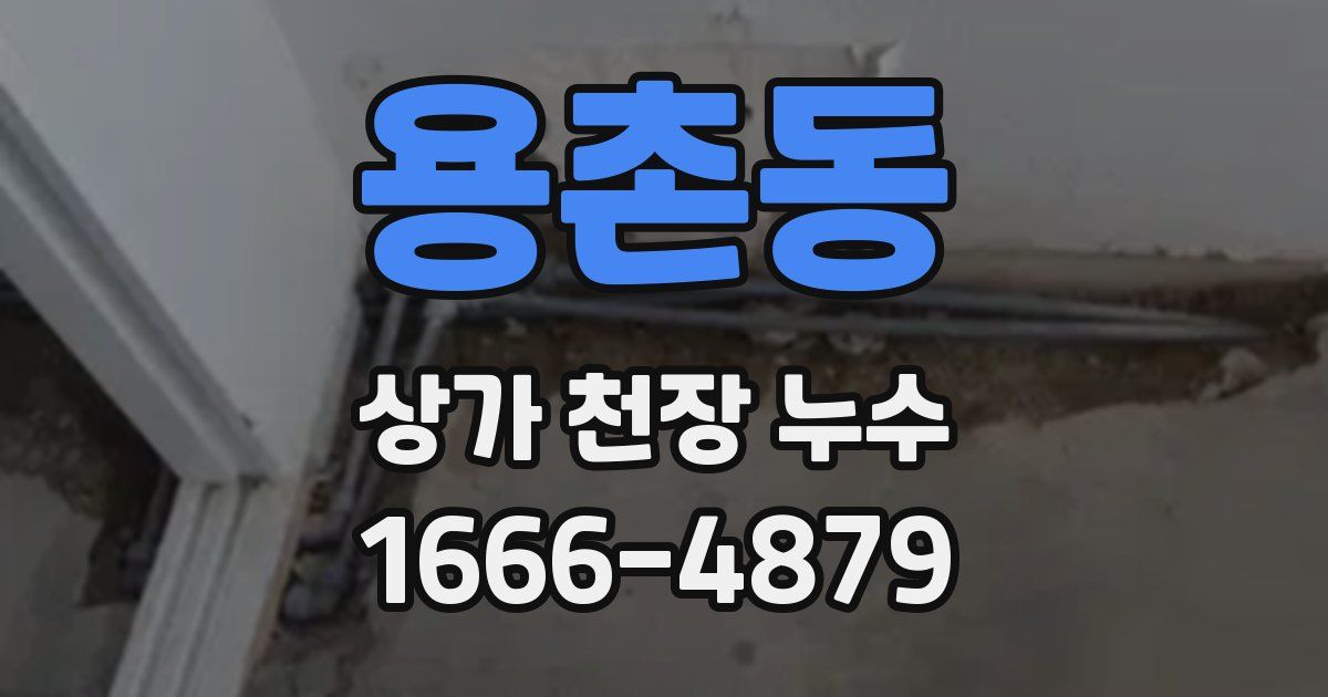 용촌동 상가 천장 누수