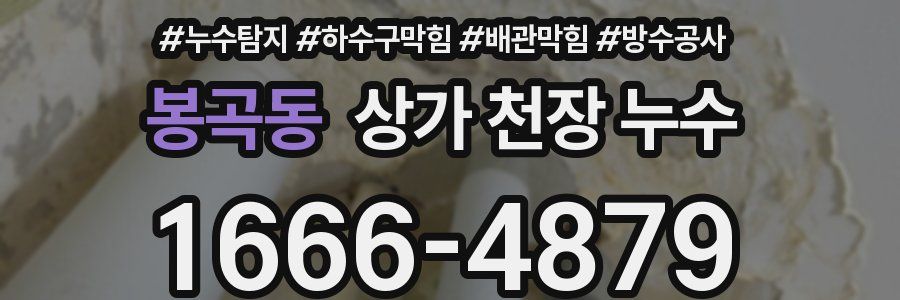 봉곡동 상가 천장 누수