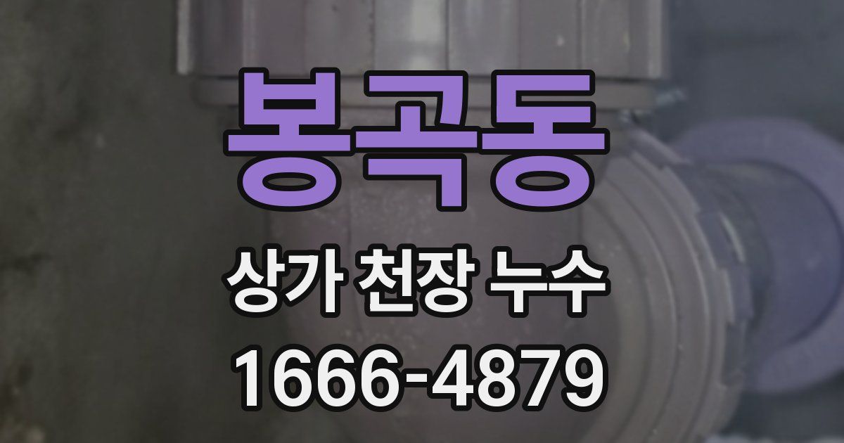 봉곡동 상가 천장 누수