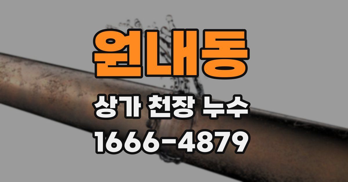 원내동 상가 천장 누수