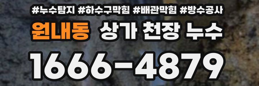 원내동 상가 천장 누수
