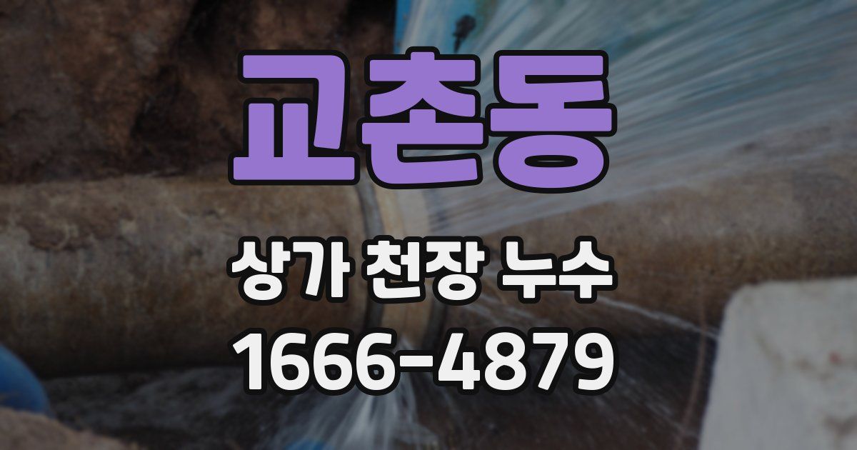 교촌동 상가 천장 누수