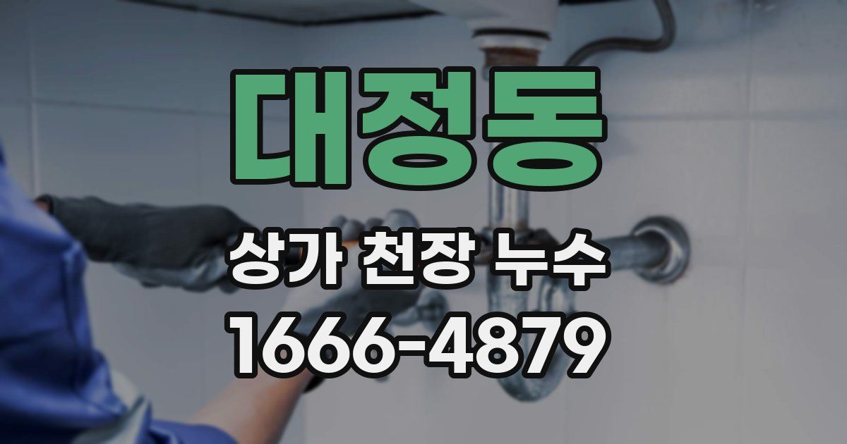 대정동 상가 천장 누수