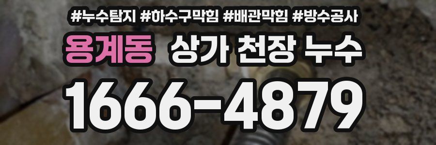 용계동 상가 천장 누수