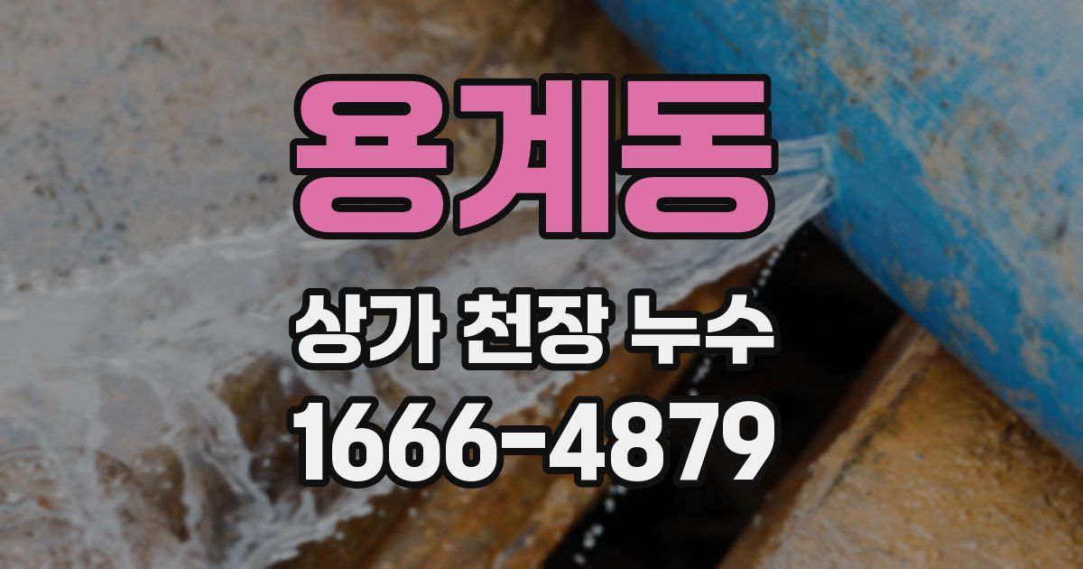용계동 상가 천장 누수