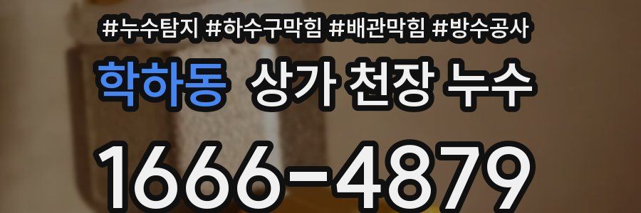 학하동 상가 천장 누수
