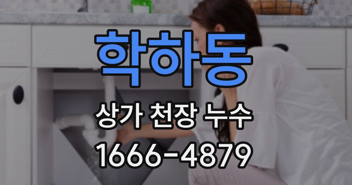 학하동 상가 천장 누수