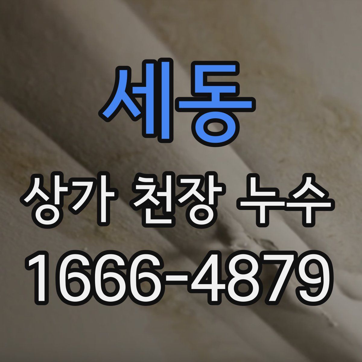 세동 상가 천장 누수