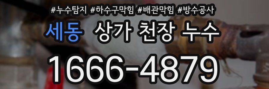 세동 상가 천장 누수